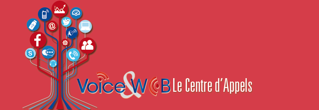 VoiceAndWeb-Centre-dAppels-multilingues-inbound-au-Service-de-Entreprise-Services-Client-avant-et-apres-vente